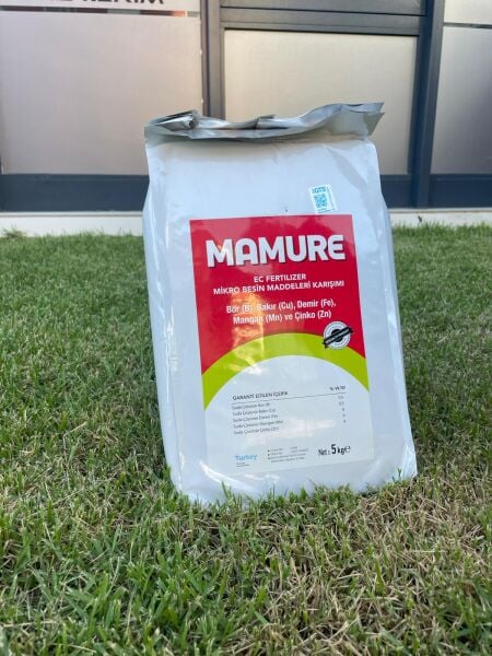 Mamure 5  KG (İzelement)