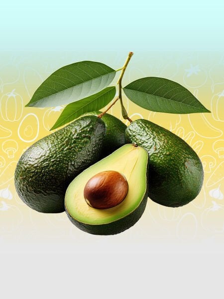 Avokado  1 KG Taze Hasat Dalından.
