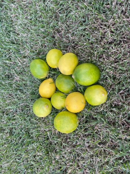 Sulu Limon 2 Kg