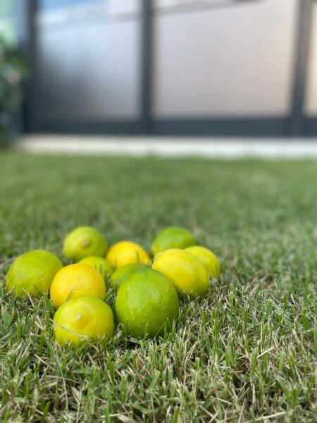 Sulu Limon 2 Kg