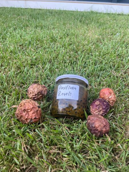 Doğal Pasiflora Reçeli 400cc
