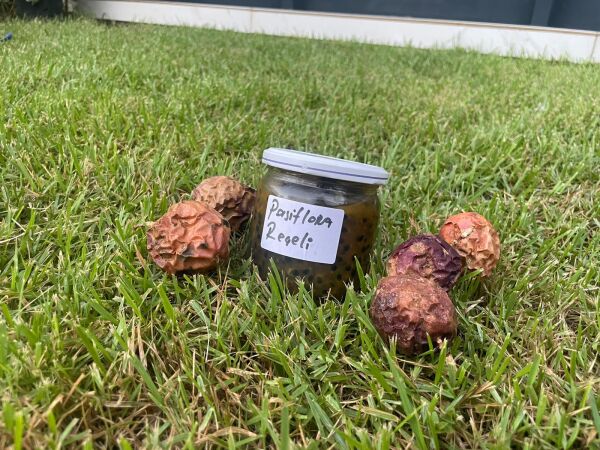 Doğal Pasiflora Reçeli 400cc