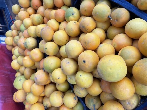 Portakal   (Sıkmalık)   2 Kg