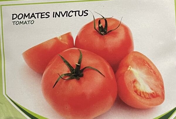 Domates Tohumu  10 Gr