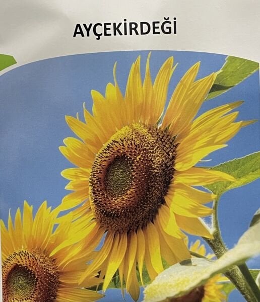 Ayçekirdeği Tohumu  10 Gr