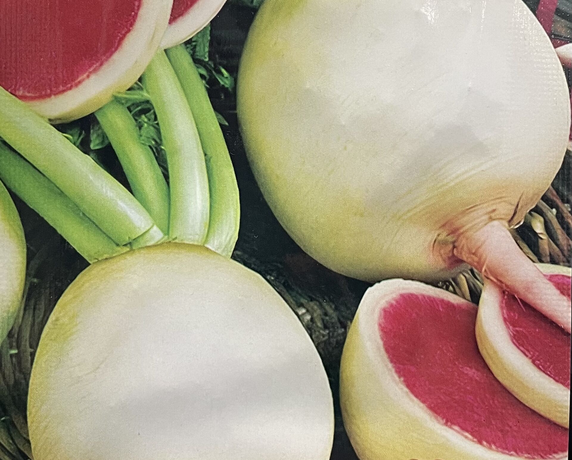 ÇİN Turpu  Tohumu  5 Gr