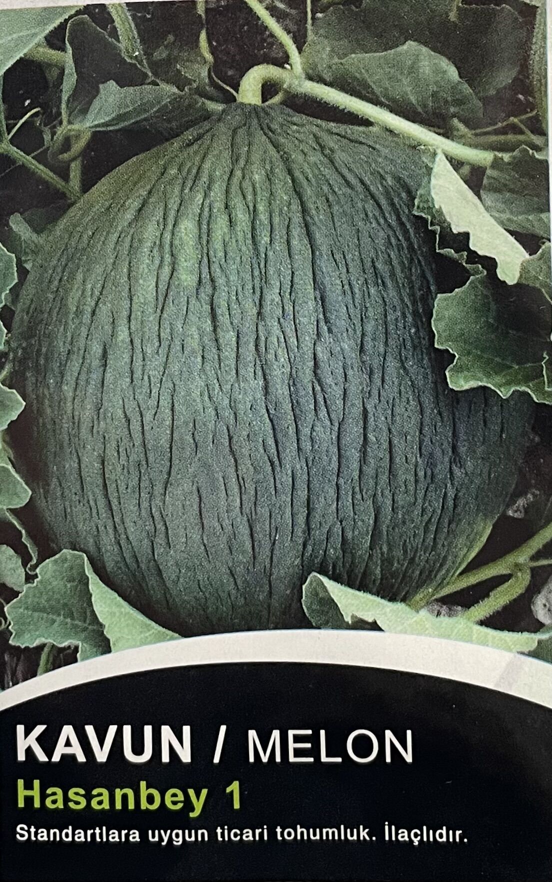 Kavun Melon  10 Gr Tohum