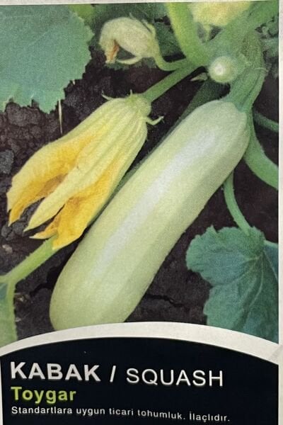 Kabak Toygar  10 Gr Tohum