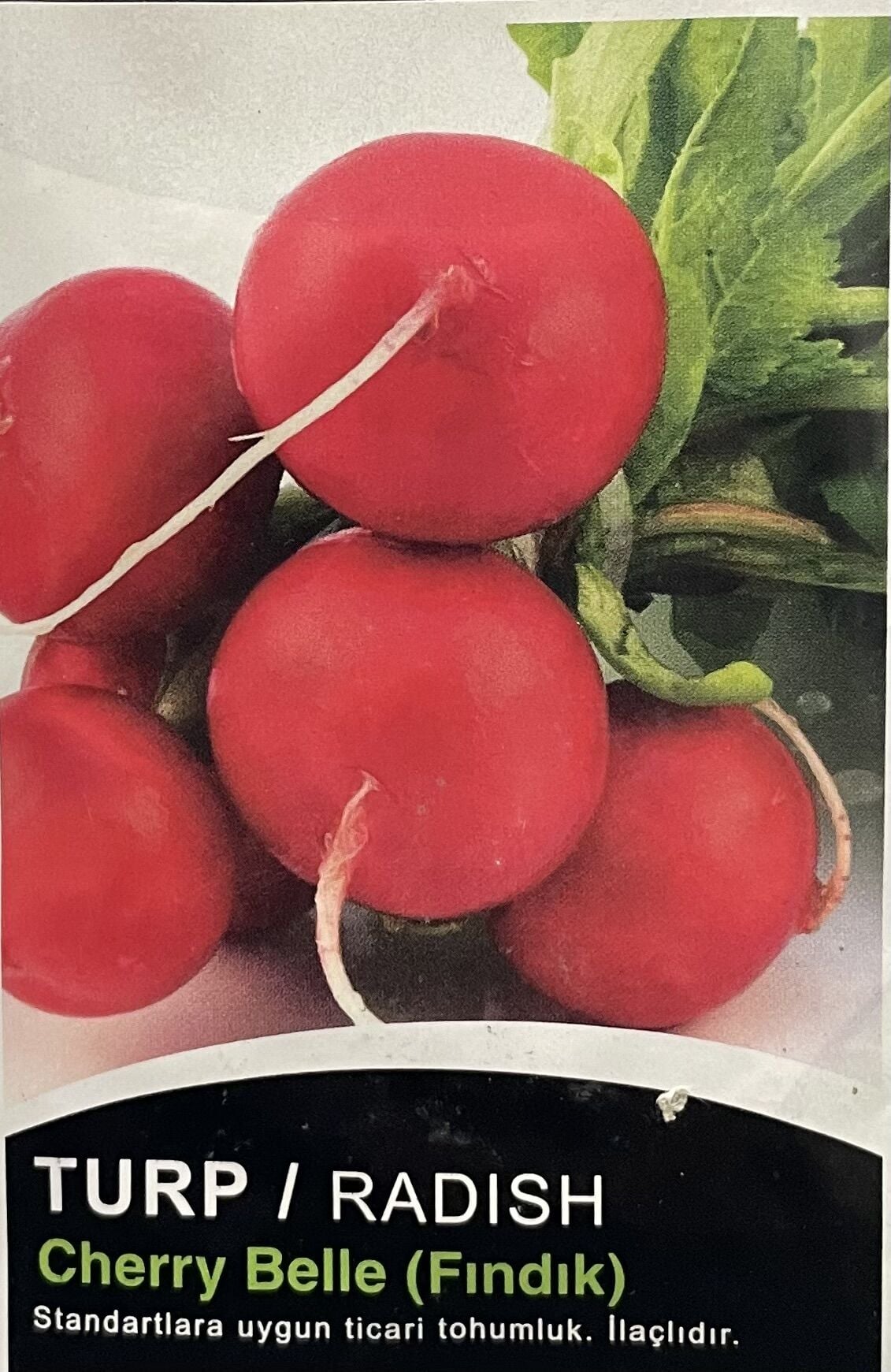 Turp (Fındık)  10 Gr Tohum