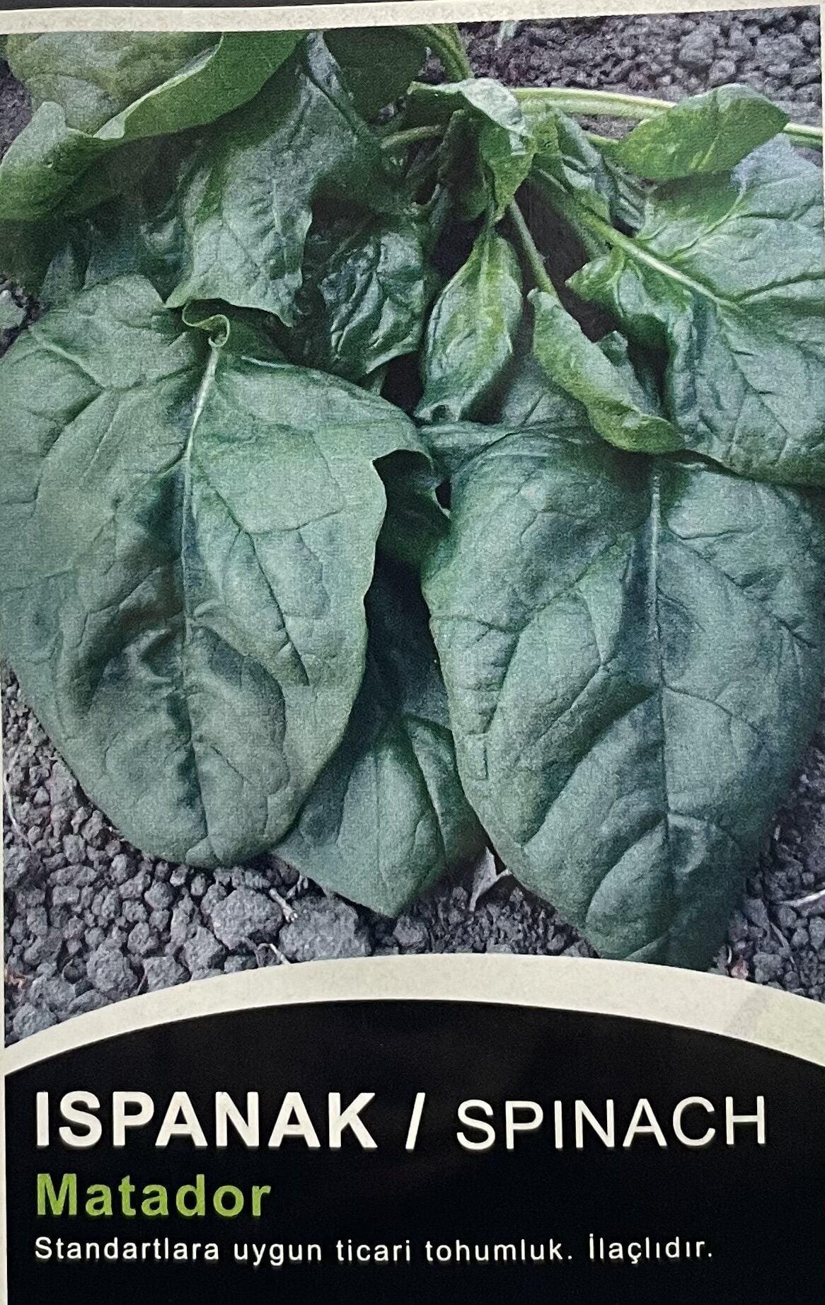 Ispanak Matador 50 GR Tohum