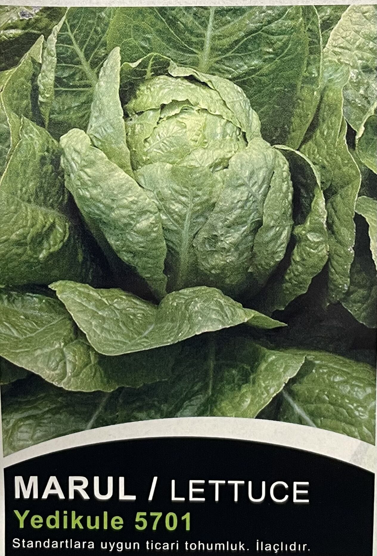 Marul Yedikule 10 Gr Tohum