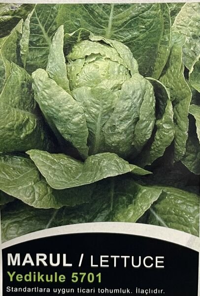 Marul Yedikule 10 Gr Tohum