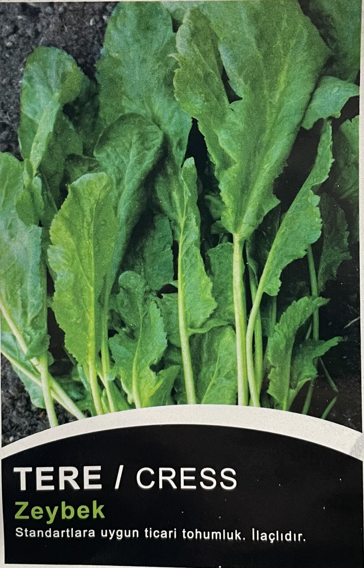 TERE Zeybek  10  Gr Tohum