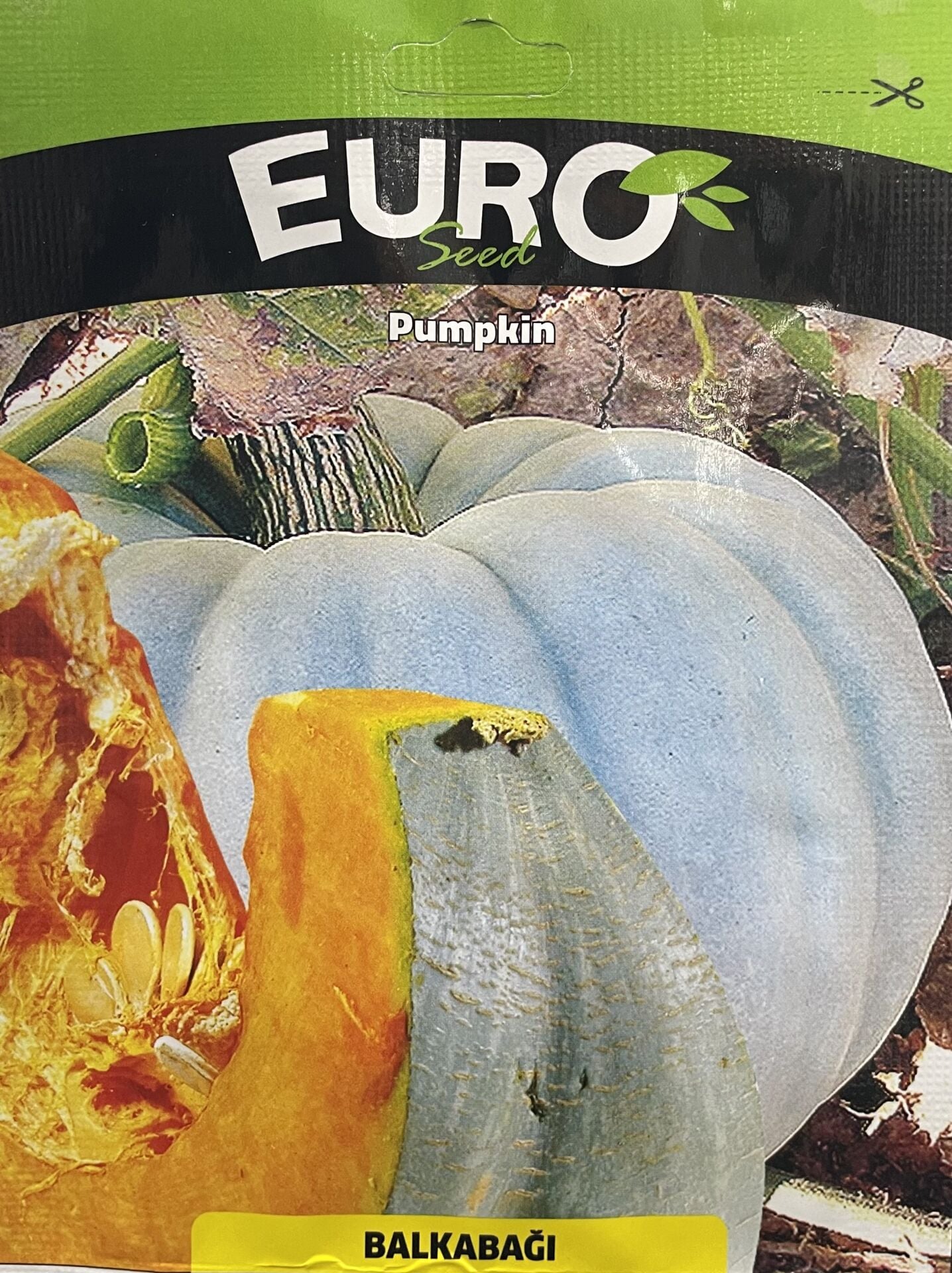 Bal kabağı  10 Gr Tohum