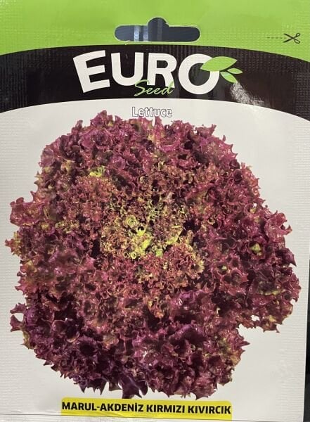 Marul Akdeniz Kırmızı Kıvırcık  1  Gr Tohum