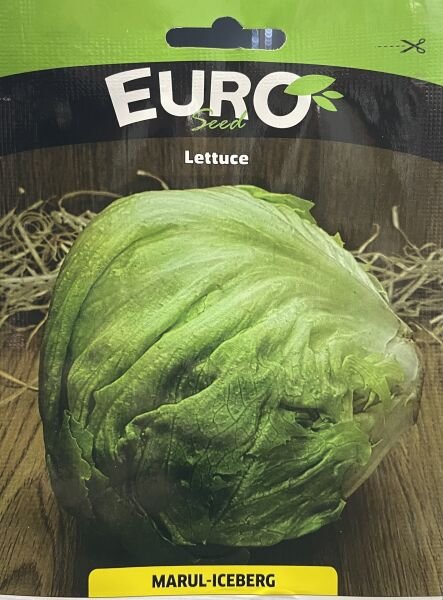 Marul ıceberk  Tohumu 1 Gr