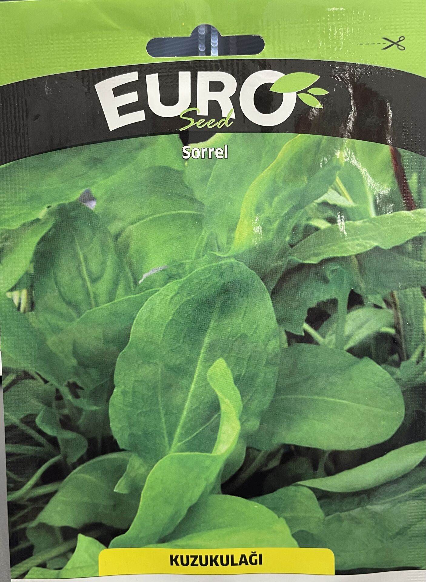 Kuzu Kulağı Tohumu   1 Gr