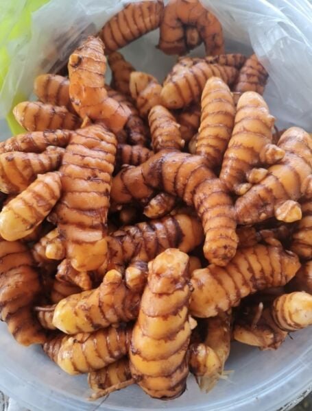 Zerdeçal Taze (Yaş)  100 GR